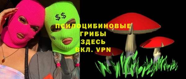 спайс Абинск