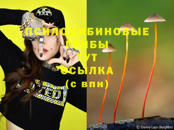 герыч Абаза